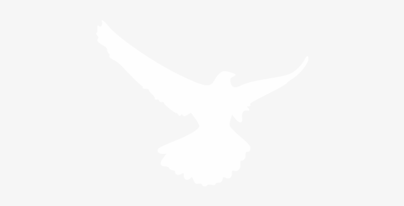 Eagle Stone - Eagle Icon White Png, transparent png download