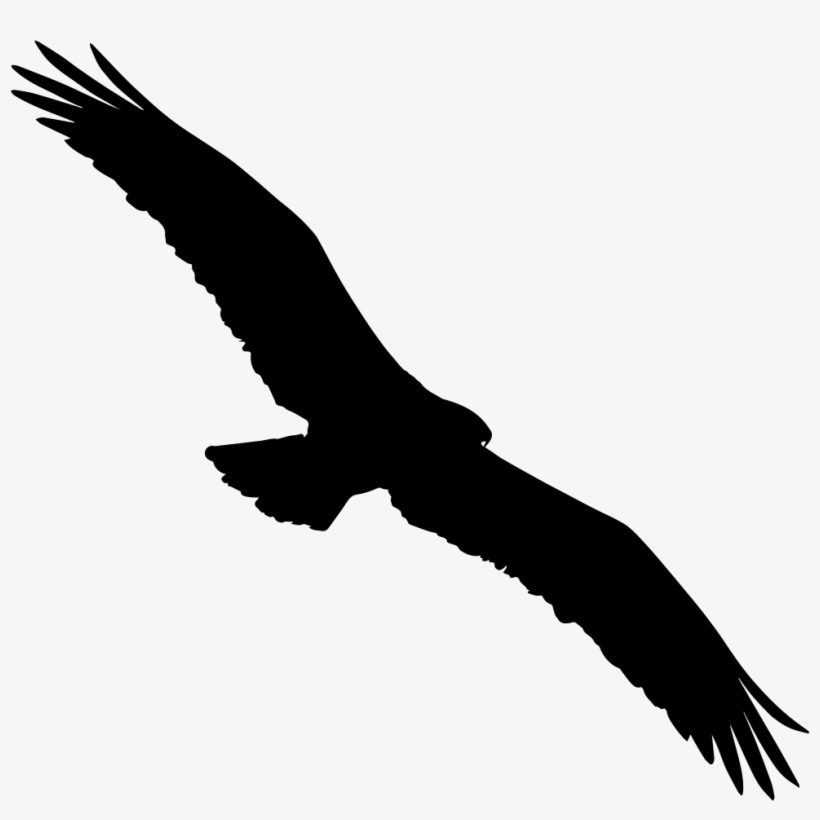 Bird Osprey Shape Comments - Bird Top View Png, transparent png download