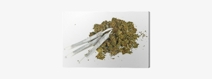 Marihuana Joint With Marihuana Canvas Print • Pixers® - Marihuana Joint, transparent png download