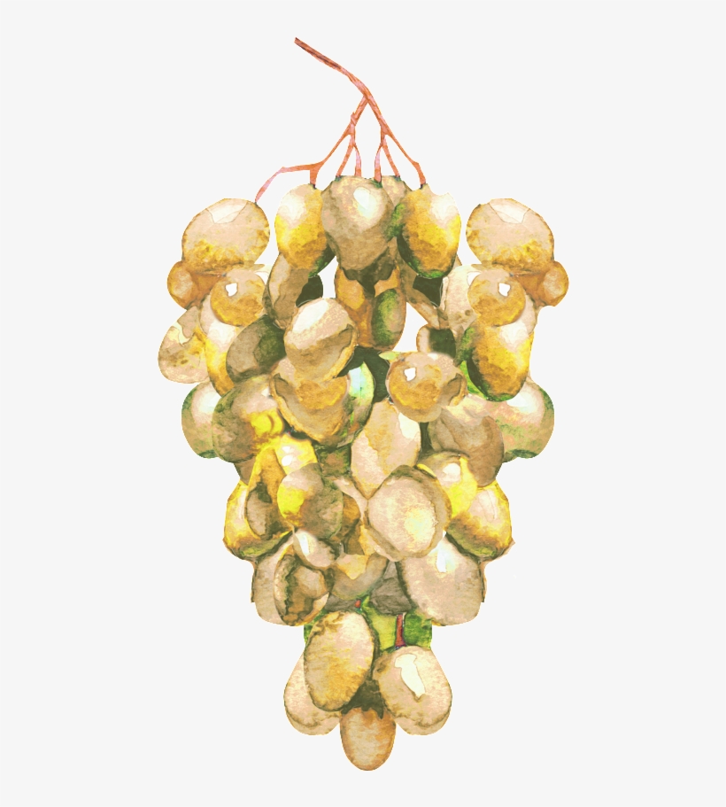 Hand Painted Bunch Of Green Juicy Grapes Decorative - Grape, transparent png download