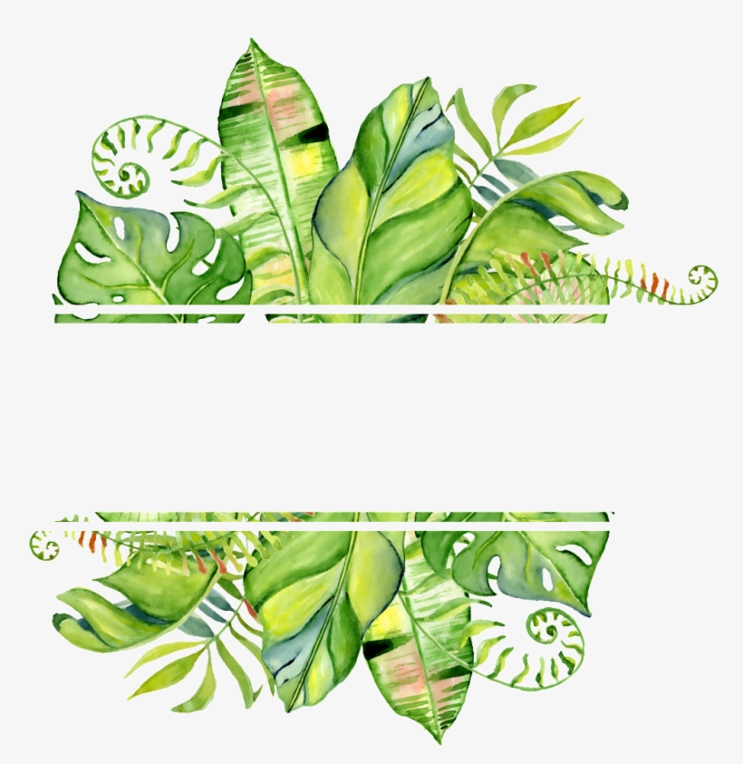 Pintado A Mano De Png De Hoja Png Transparente - Watercolor Tropical Leaf Border, transparent png download