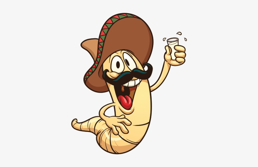Drinking Clipart Worm - Tequila Worm Clipart, transparent png download