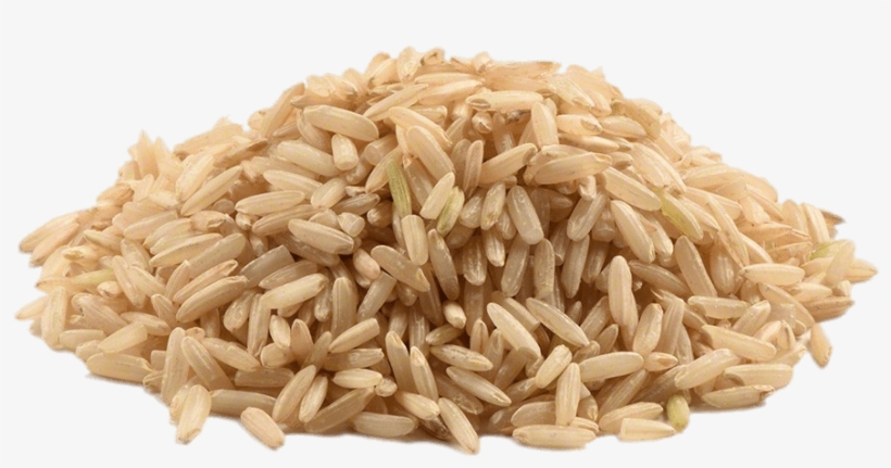 Download - Transparent Rice Plant Png, transparent png download