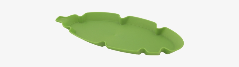 Photography, transparent png download