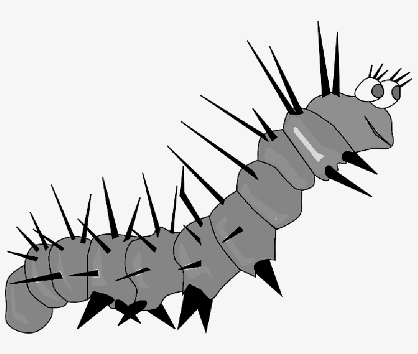 Mb Image/png - Caterpillar, transparent png download