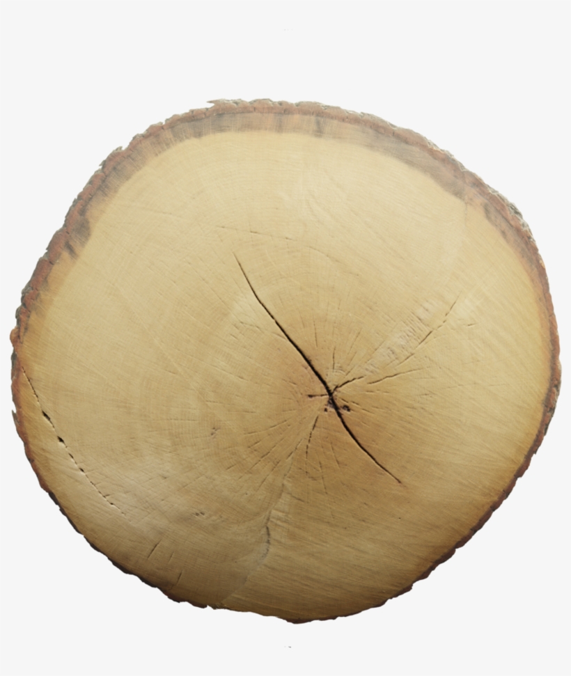 Tree End - Wood, transparent png download