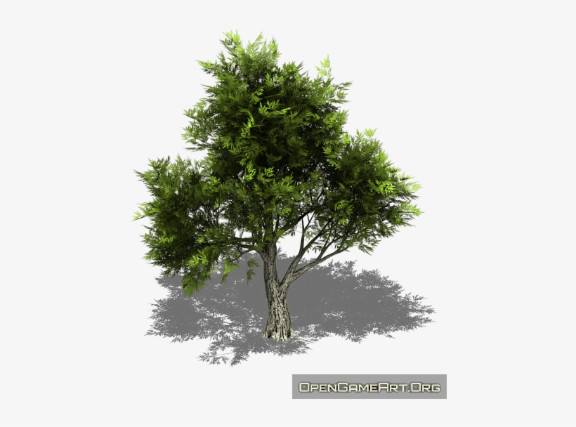 Tree 01 Prev 0 - Tree With Shadow Png, transparent png download