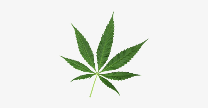Adicciones - Pot Leaf, transparent png download
