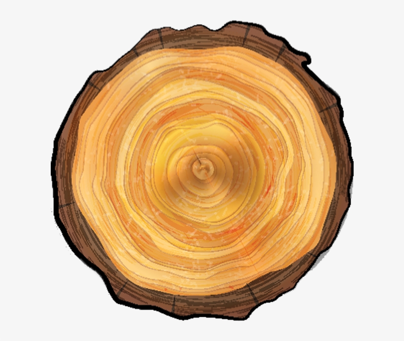 Tree Care Services, Stump Removal - Vector Graphics, transparent png download