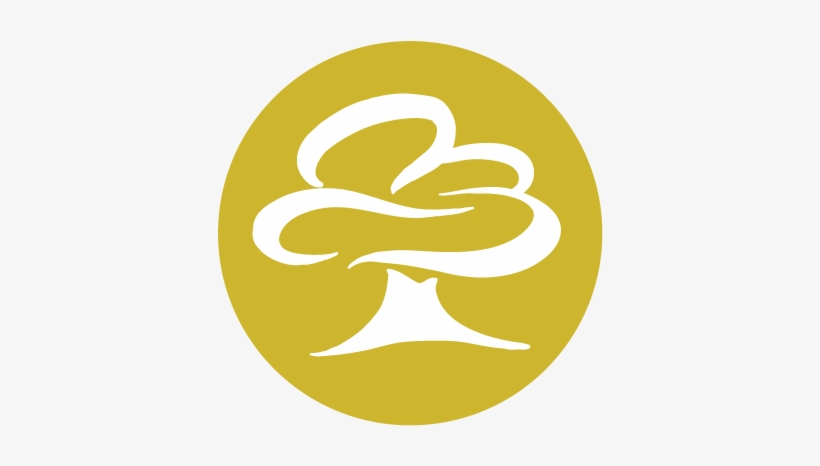 Wtw Gold Package - White Tree Studios, transparent png download