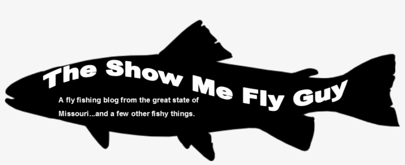 The Show Me Fly Guy - Freshwater Drum, transparent png download
