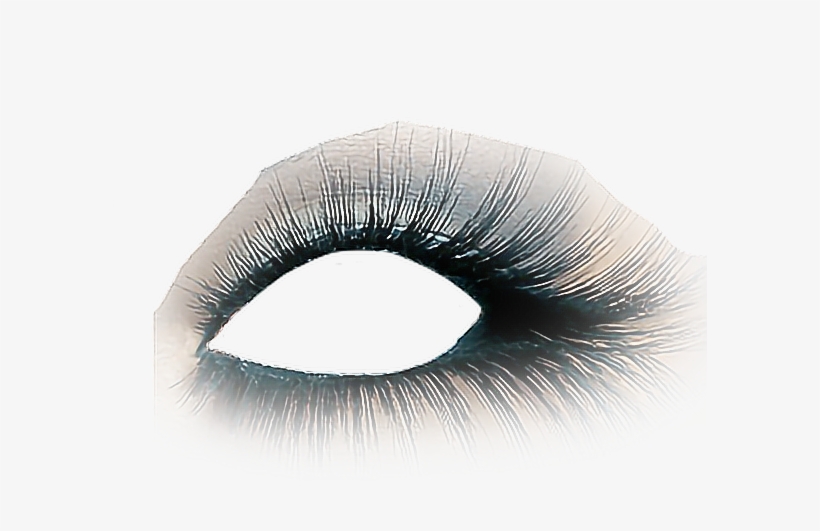 Transparent Stock Eyelash Clipart Glitter - Eyelash, transparent png download