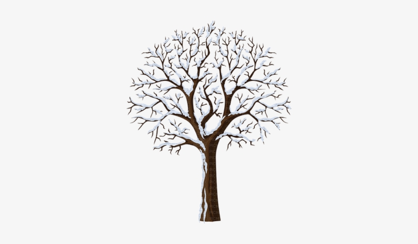 Snow Tree - Les Saisons L Hiver, transparent png download