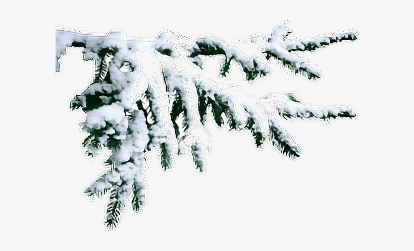 Report Abuse - Saint Petersburg, transparent png download