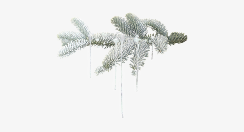 Christmastrees Snow Tree Christmas Christmasdecoration - Winter, transparent png download