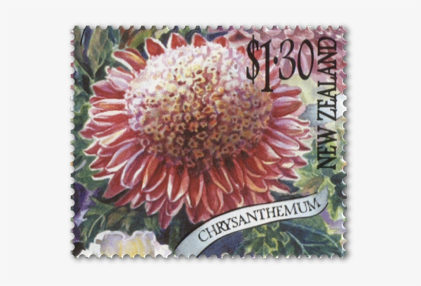 Single Stamp - Protea, transparent png download