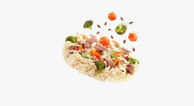Comida Cozida E Congelada Para Cães - Comida Congelada Para Cães, transparent png download
