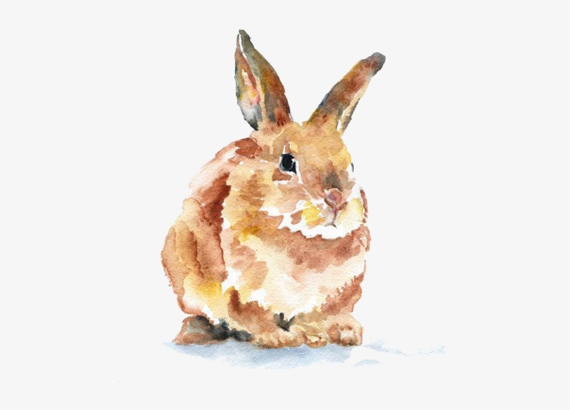 Watercolor Woodland Animals, transparent png download