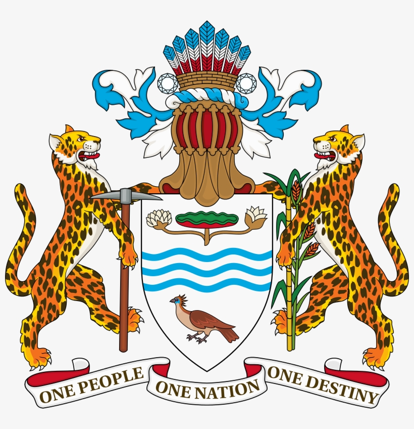 The Coat Of Arms Of The Co - Coat Of Arm Of Guyana, transparent png download