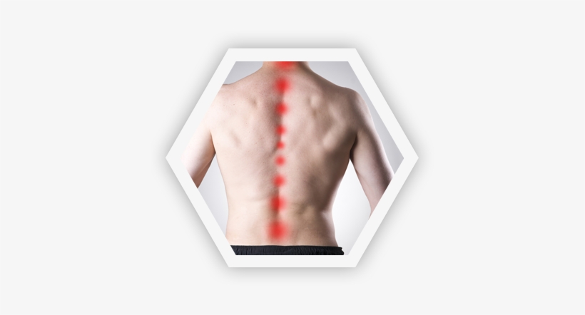 Thoracic M - Thermedic Qi-point Heating Pad With Usb Adaptor, transparent png download