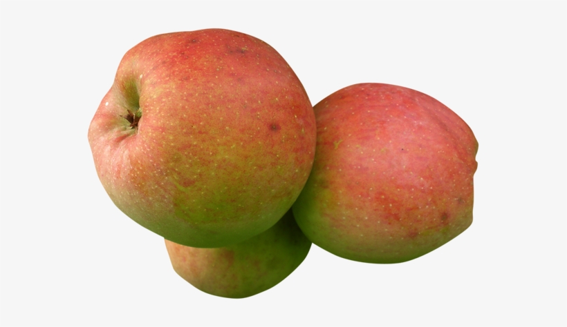 Manzana - Apple, transparent png download