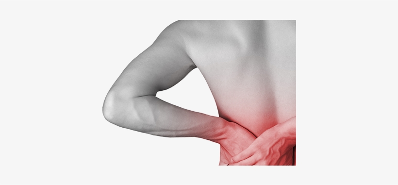 Low Back Pain Facts - Goodbye Back Pain By Leonard J Faye D C 9781419691447, transparent png download