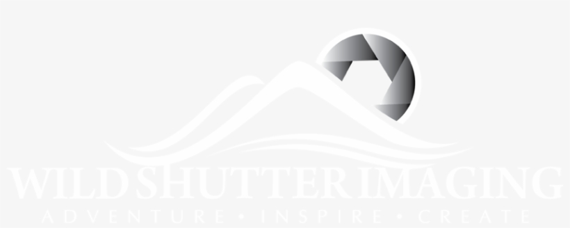 Wild Shutter Imaging - Sony Corporation, transparent png download