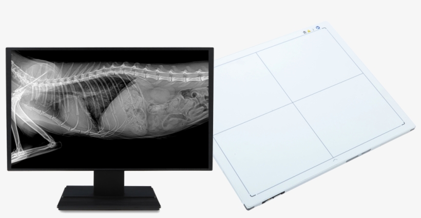 Mano Dr Imaging - Digital Radiography, transparent png download