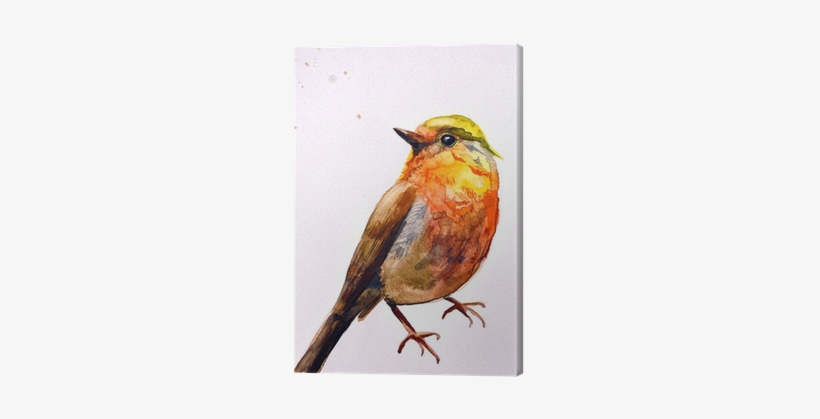 Watercolor Drawing Of Cute Bird Canvas Print • Pixers® - Water Colour Painting Bird Fly, transparent png download