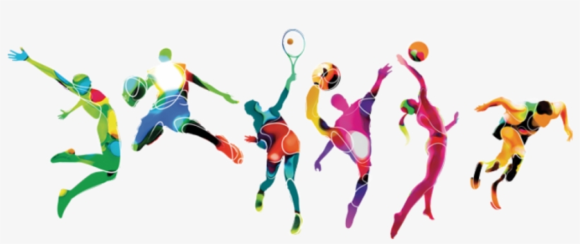 Sports Goods Supplier One Of The Most Celebrated Sporting - Quick Guide In Stretching: Elasticity And Muscle Tone, transparent png download