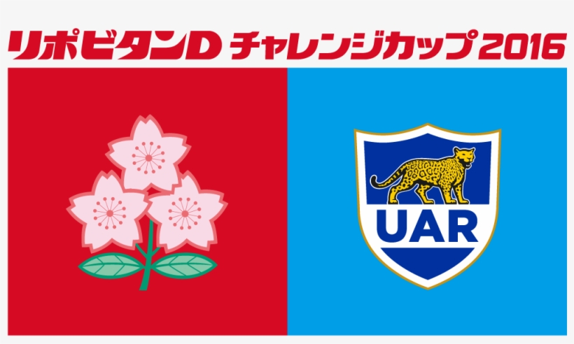 Argentina To Tour Japan In Autumn - Argentine Rugby Union, transparent png download
