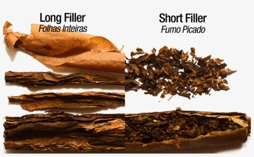 Comparison Of Long Filler And Shirt Filler Cigars - Cigars Made, transparent png download