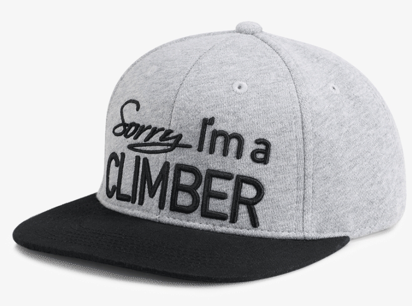 Snapback Sorry Sweat Grey - Snapback Cap Sorry, transparent png download