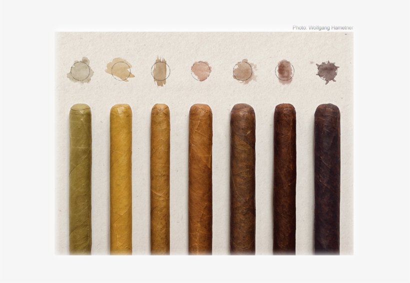 Of Cigar Tasting - Cigar Wrappers, transparent png download