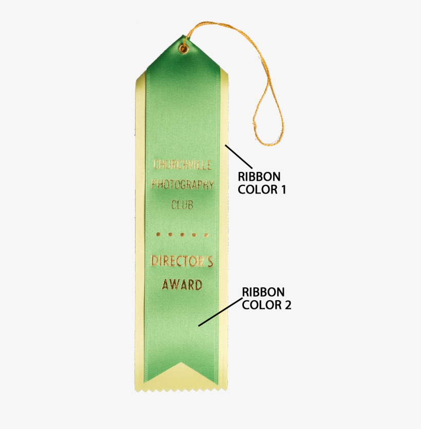 29 2 5 X 10 Pointed Top Custom Award Ribbonribbonsrb29 - Label, transparent png download
