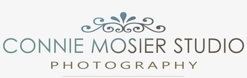Connie Mosier Studio - Png Hair Salon Logos, transparent png download