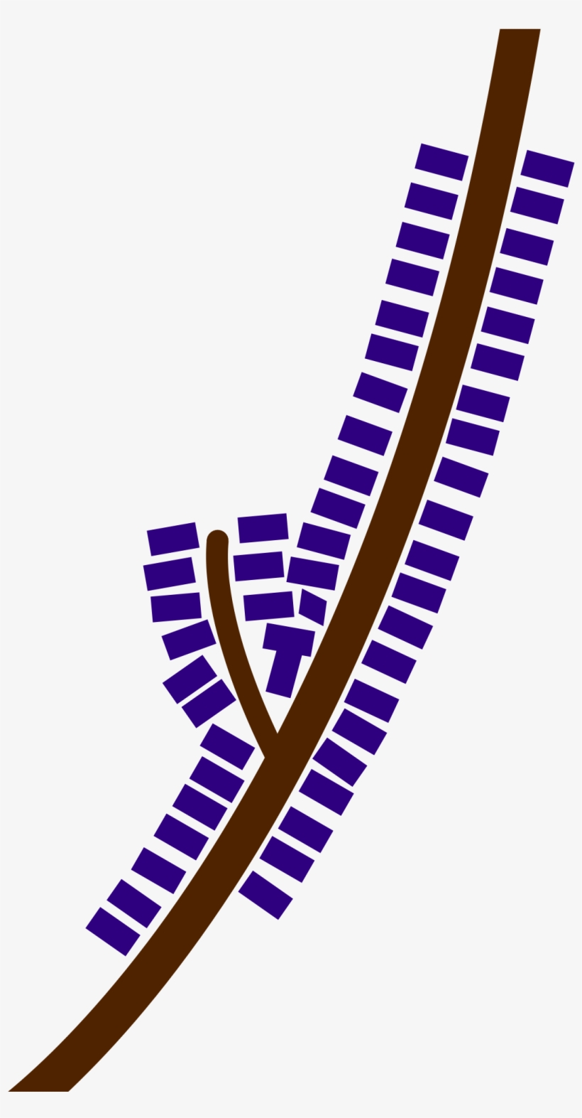 Ribbon Development Concept PNG Image Transparent PNG Free Download on