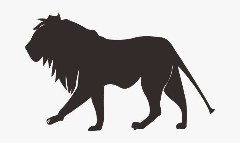 Lion Tiger Cougar Felidae - Lion Country Safari, transparent png download