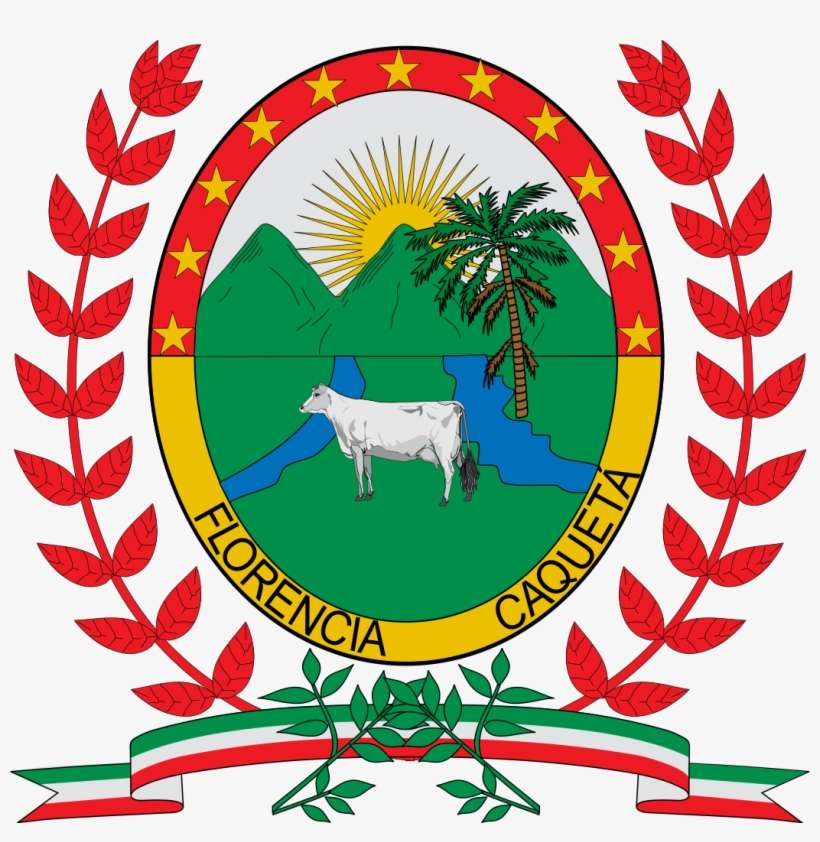 Escudo De Florencia - District Municipal Corporation Karachi Logo, transparent png download