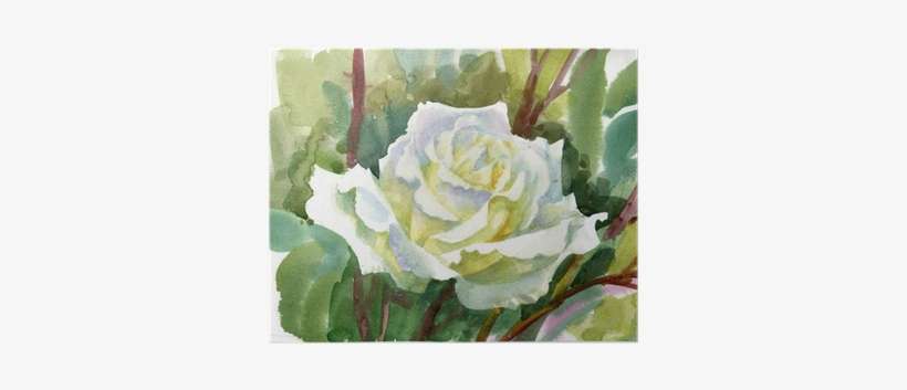 Watercolor Flower Collection - Fleurs Blanches Aquarelles Fleurs, transparent png download