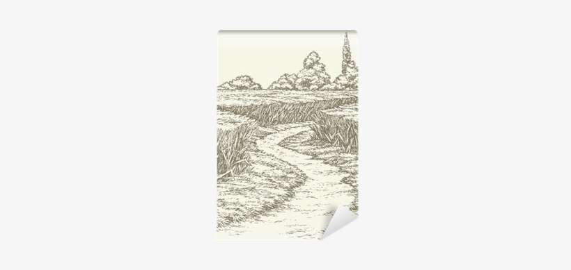 Dirt Path Through Fields Of Wheat Wall Mural • Pixers® - Sketch, transparent png download