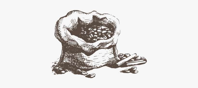 How Can We Help - Coffee Tree Vector Png, transparent png download