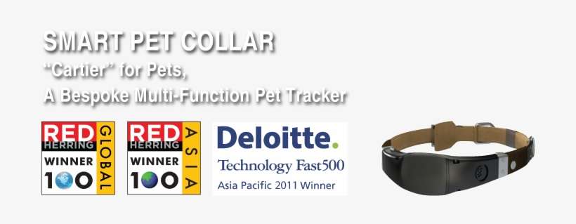 Smart Pet Collar - Belt, transparent png download