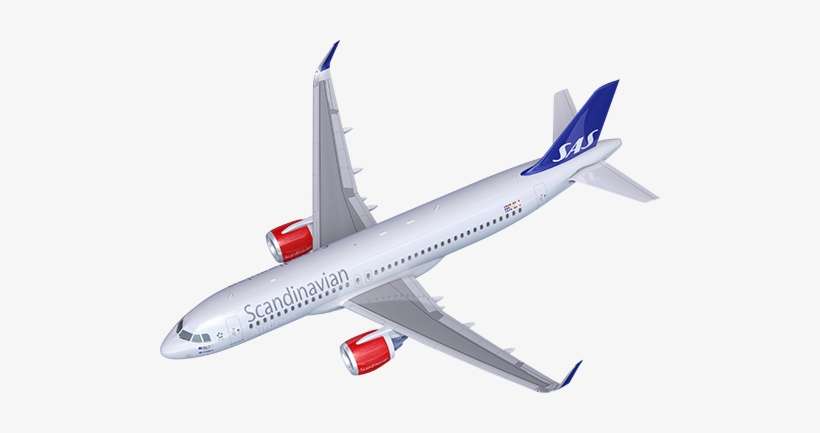 Once That He Confirmed That Everything Was In Order - Sas Plane Png, transparent png download