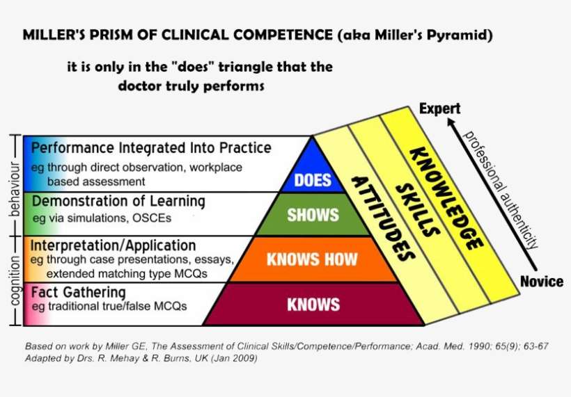 The Miller Prism - Miller's Prism Of Competence, transparent png download