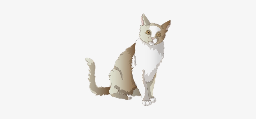 Cat, Mieze, Transparent, Animal, Sitting - Png Transparente De Gatos, transparent png download