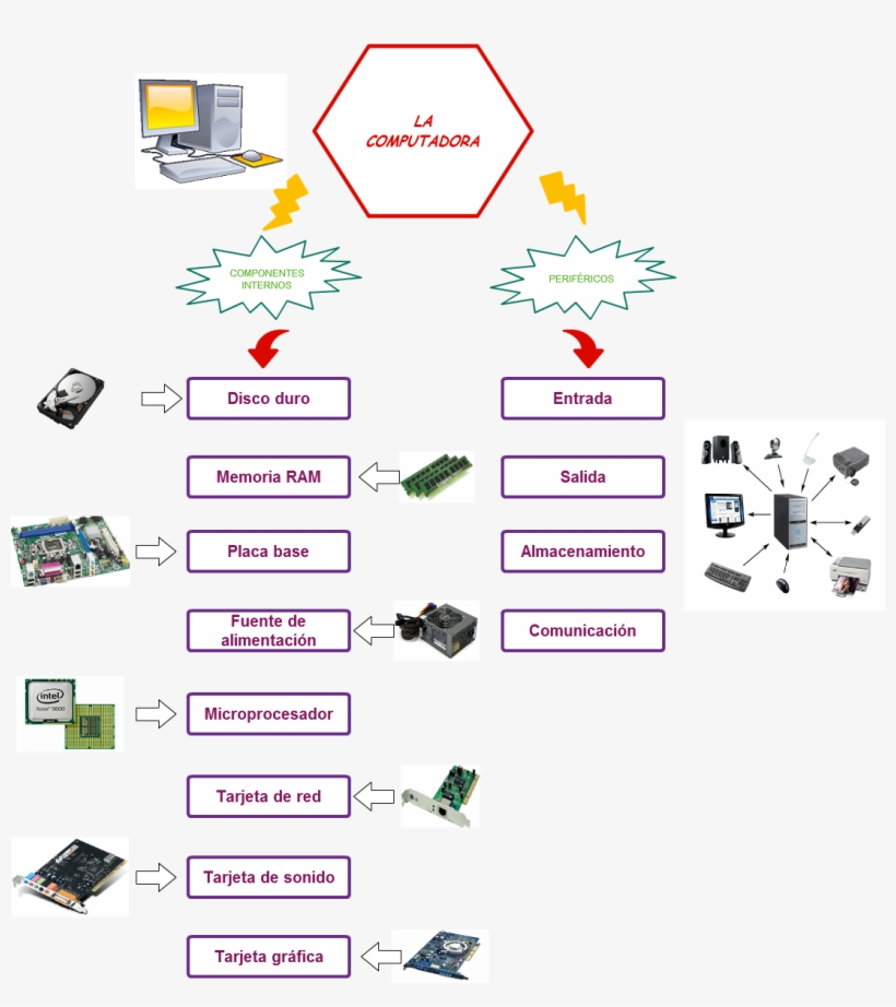 Untitled La Computadora Componentes Internos Periféricos - Assistenza Pc, transparent png download