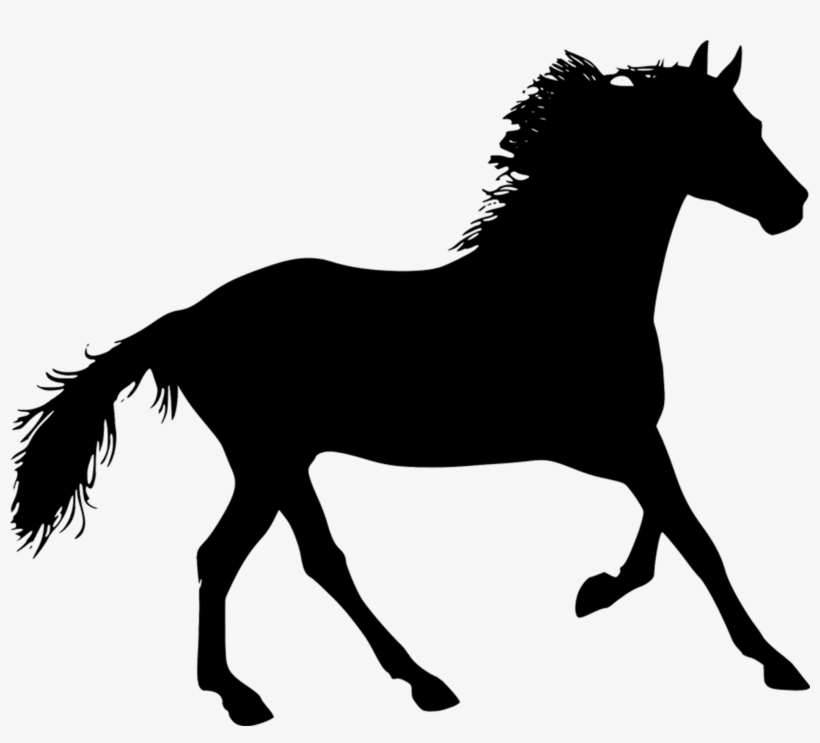 Horse Silhouette - Animal Silhouette, transparent png download