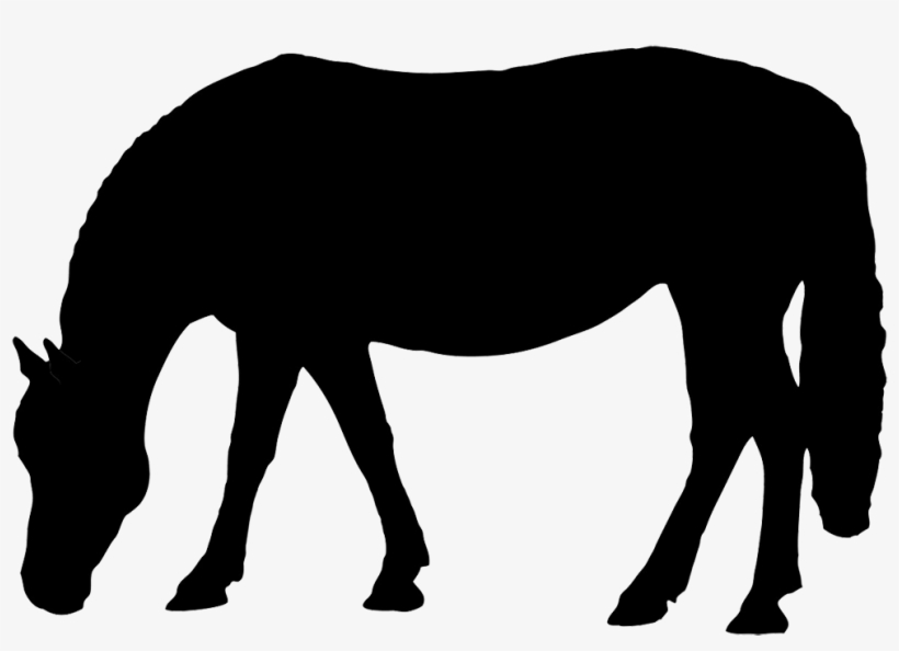 Horse Silhouette Black Grazing Clip Art - Horse, transparent png download