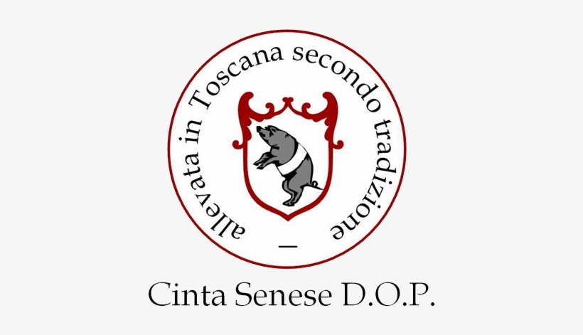 Cinta Senese, transparent png download